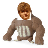 ApeDaniel