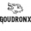 GoudronX