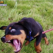 我是你失散多年的亲爹