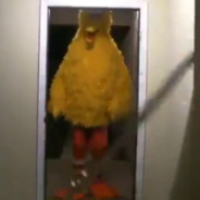 Big Bird