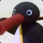 NOOT NOOT SHOOT SHOOT