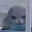 Seal0