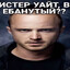 МИСТЕР УАЙТ , ВЫ И