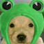 azitov twitch