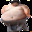 oNEpoISDSe