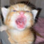 horny2night