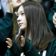 我就是那在你后面的鱼