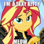 mlp lover