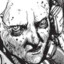 allfatherrobin
