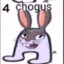 Chogus