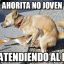 ahorita no joven :3