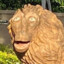 Motuca Lion