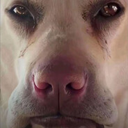 宇宙无敌之霸主