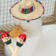 Señor Duck - steam id 76561199797927786