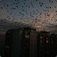 Сказочный ебаклаX