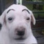 Updog