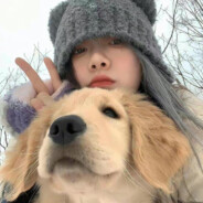 脆脆鲨融化了！