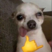 NOGUEIRALN