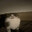 nevsk1y-