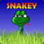 Snakey