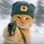 Cold Harbor