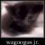 wagoogus jr.