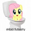 skibidi fluttershy