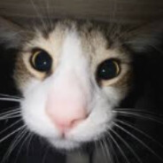 uzbekistanskie tango.uwu