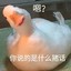 哎吆我去