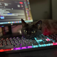 CiOCAN avatar