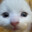Ketchan