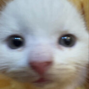 Ketchan