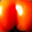 Cheeky Tomato