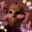 AndyBoss_5 avatar