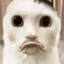 GoiViking's avatar