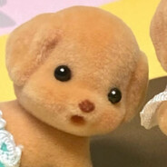 努力切菜的嘻嘻