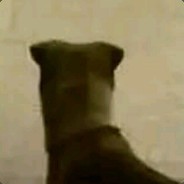 年龄大了玩不动了，生