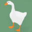 goose