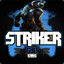 STRIKER