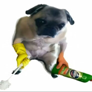 Соня
