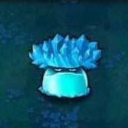 因你而冰冷的心