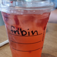 Fribin