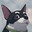 popcornjones avatar