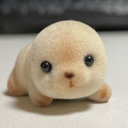 джимми яйки