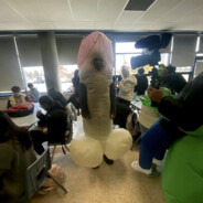 恋爱只谈章若楠