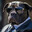 Player avatar
