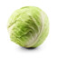 Cabbage