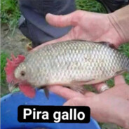 Gupy 's avatar