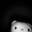 lobotomy