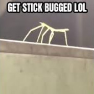 Stickbug